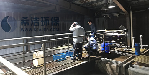九游会J9铬废水重金属捕捉处理工艺